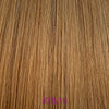 Human hair ponytail extension 7B - 16 - 01